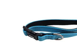 Gotoo - Collier Essentials en Nylon Premium Bleu pour Chien