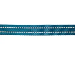 Gotoo - Collier Essentials en Nylon Premium Bleu pour Chien