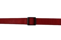 Gotoo - Collier Essentials en Nylon Rouge pour Chien