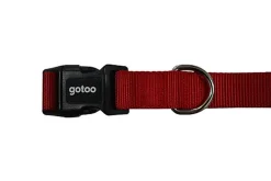 Gotoo - Collier Essentials en Nylon Rouge pour Chien