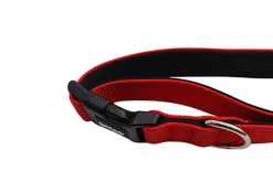 Gotoo - Collier Essentials en Nylon Premium Rouge pour Chien