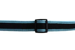 Gotoo - Collier Mesh Turquoise pour Chien