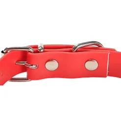 Gotoo - Collier Premium Biotane Rouge pour Chien