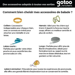 Gotoo - Collier Premium Biotane Rouge pour Chien