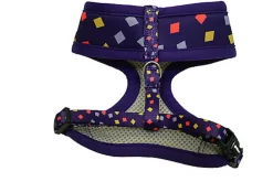 Gotoo - Ensemble Bleu Funny Géométrique pour Chien