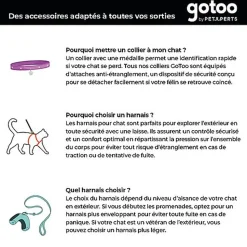 Gotoo - Ensemble Funny de Smileys Bleus pour Chien