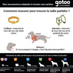 Gotoo - Harnais à motif Botanic Vert pour chien