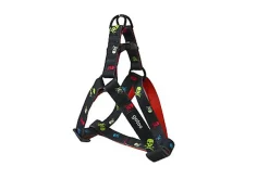 Gotoo - Harnais à Motif de Crânes Gris pour Chien