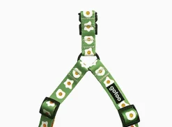 Gotoo - Harnais à Motif Oeuf Vert pour Chien