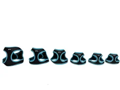 Gotoo - Harnais en Mesh Turquoise pour Chien