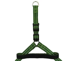 Gotoo - Harnais en Nylon Premium Vert pour Chien