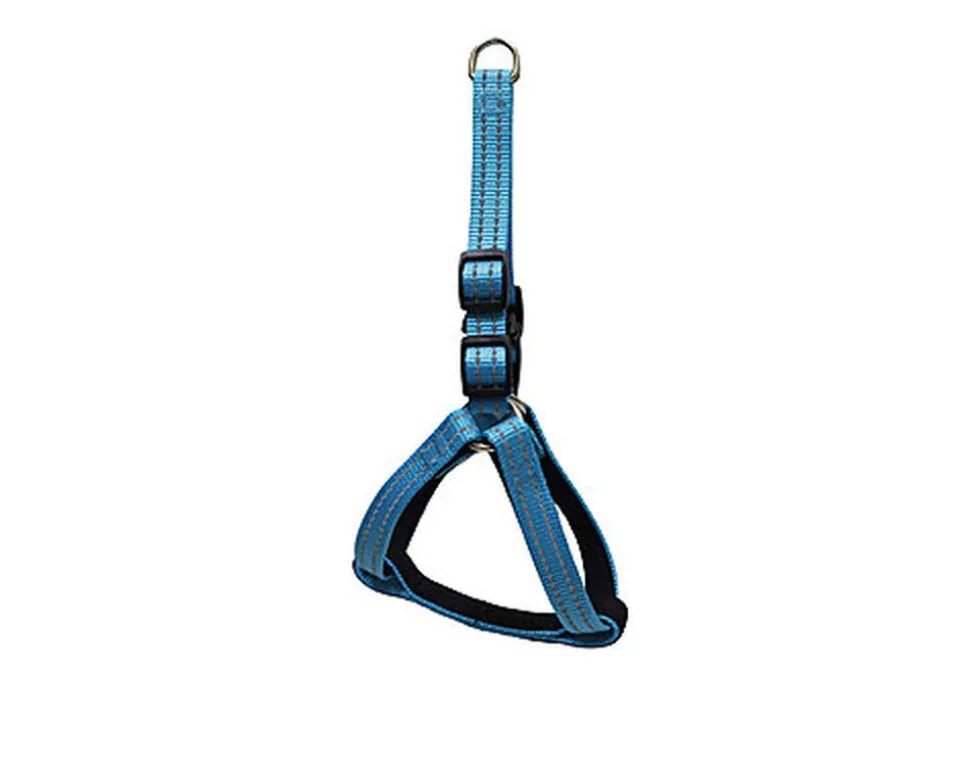 Gotoo - Harnais Essentials en Nylon Premium Bleu pour Chien