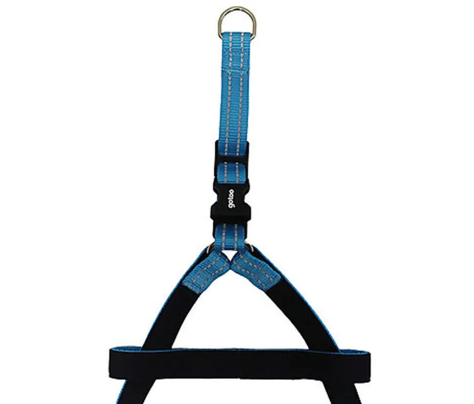 Gotoo - Harnais Essentials en Nylon Premium Bleu pour Chien