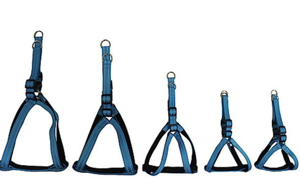 Gotoo - Harnais Essentials en Nylon Premium Bleu pour Chien