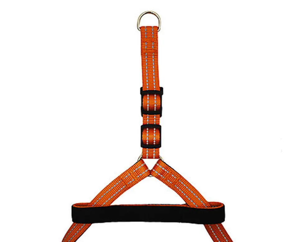 Gotoo - Harnais Essentials en Nylon Premium Orange pour Chien
