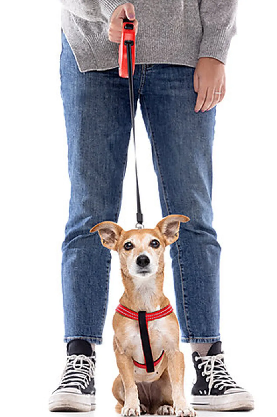 Gotoo - Harnais Essentials en Nylon Premium Rouge pour Chien