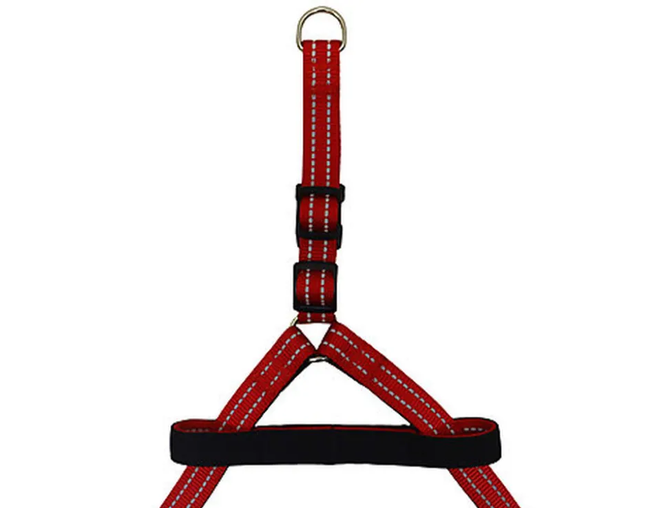 Gotoo - Harnais Essentials en Nylon Premium Rouge pour Chien