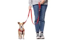 Gotoo - Harnais Essentials en Nylon Premium Rouge pour Chien