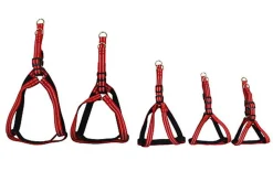 Gotoo - Harnais Essentials en Nylon Premium Rouge pour Chien