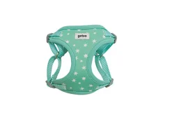 Gotoo - Harnais Etoiles Bleu pour Chiot