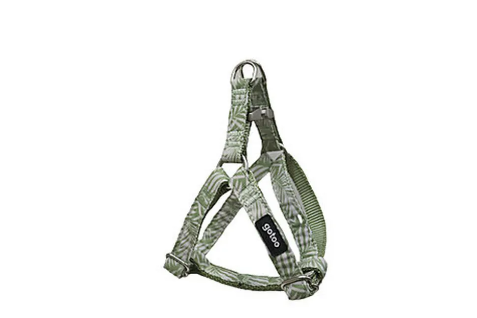 Gotoo - Harnais Feuilles Vert pour Chien