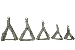 Gotoo - Harnais Feuilles Vert pour Chien