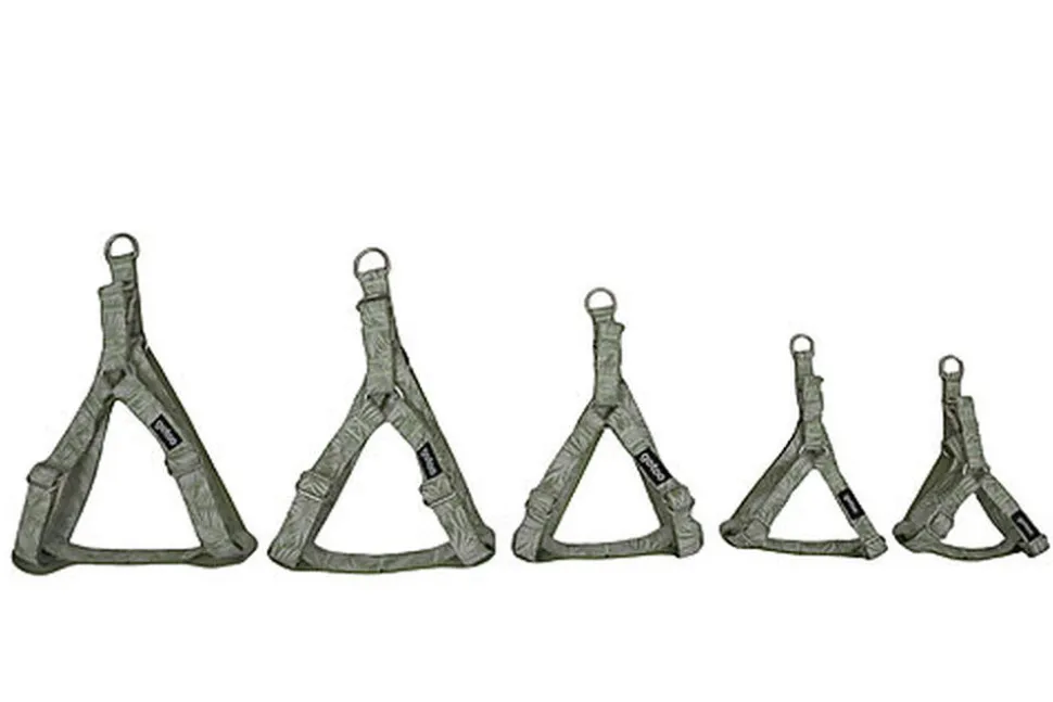 Gotoo - Harnais Feuilles Vert pour Chien