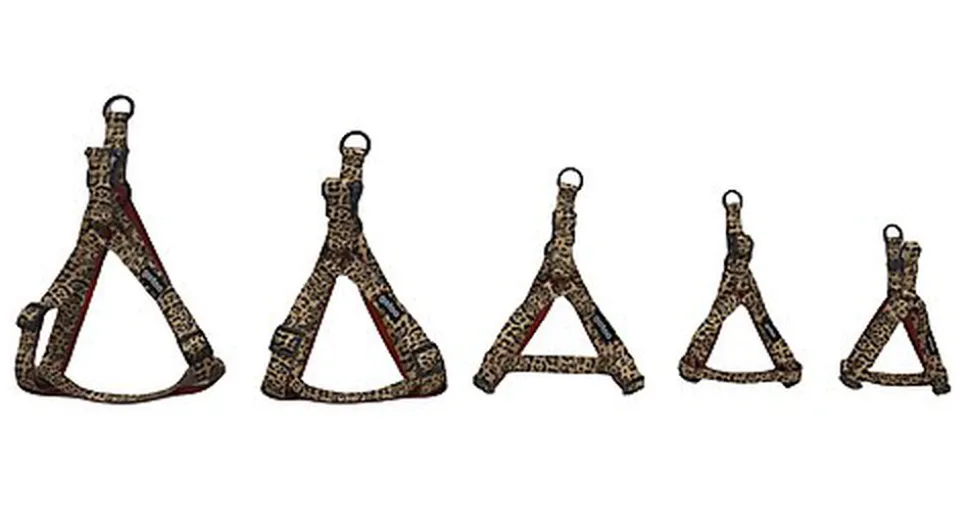 Gotoo - Harnais Léopard pour Chien