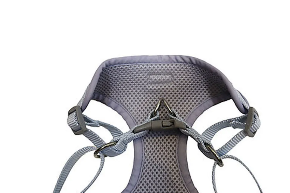 Gotoo - Harnais Mouton Gris pour Chiot