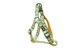 Gotoo - Harnais Oeuf Vert pour Chien - L