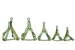 Gotoo - Harnais Oeuf Vert pour Chien - L