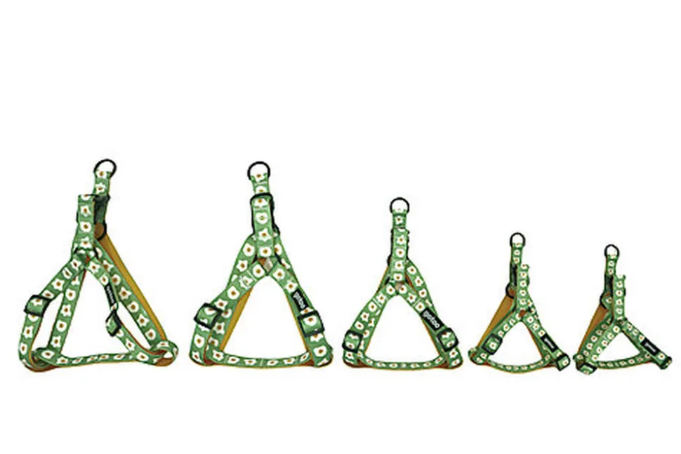 Gotoo - Harnais Oeuf Vert pour Chien - L