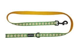 Gotoo - Laisse à Motif Oeuf Vert pour Chien - M
