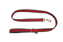 Gotoo - Laisse en Mesh 120cm pour Chien