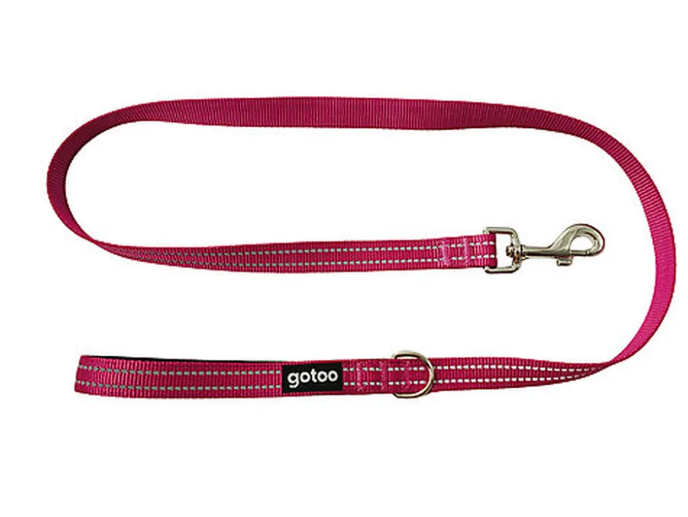 Gotoo - Laisse en Nylon Premium pour chien