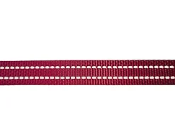 Gotoo - Laisse en Nylon Premium pour chien