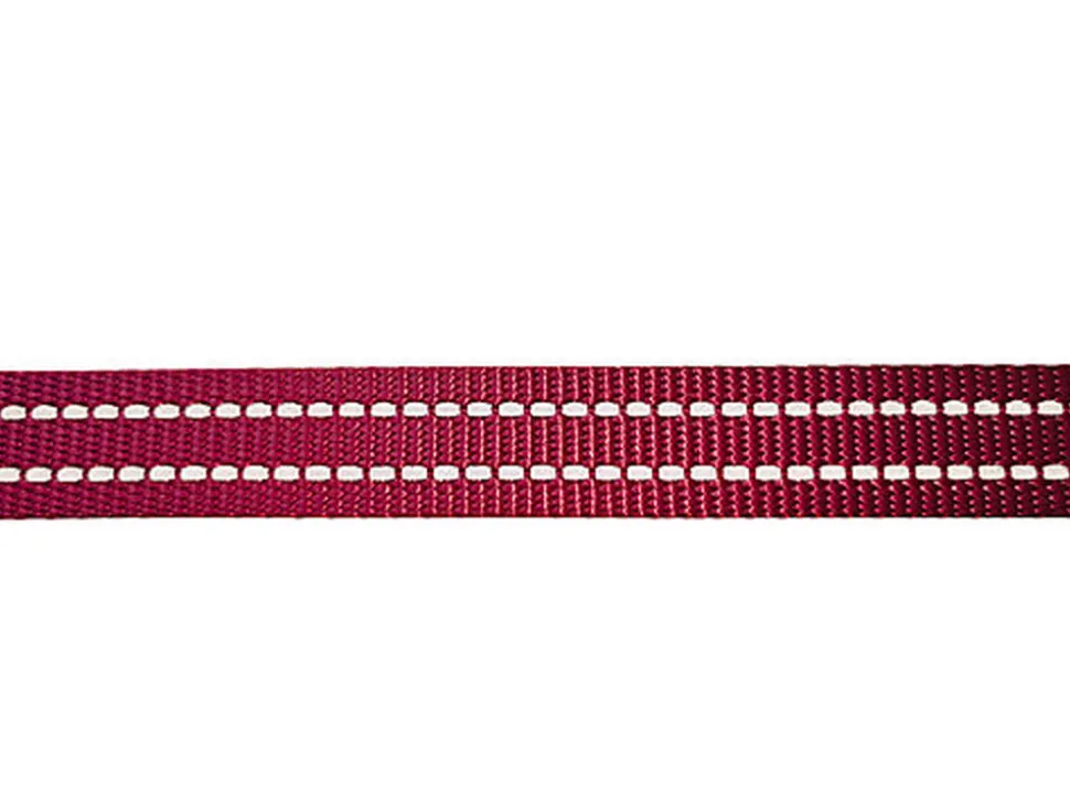 Gotoo - Laisse en Nylon Premium pour chien