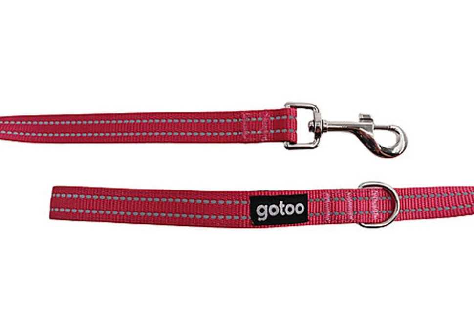 Gotoo - Laisse en Nylon Premium pour chien