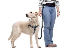 Gotoo - Laisse Essentiels Multi-Usage pour Chien