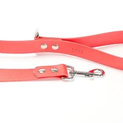 Gotoo - Laisse Premium Biotane pour Chien