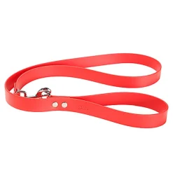 Gotoo - Laisse Premium Biotane pour Chien