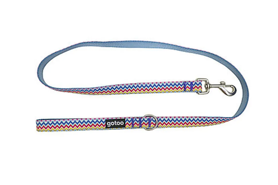 Gotoo - Laisse ZigZag pour chien - M