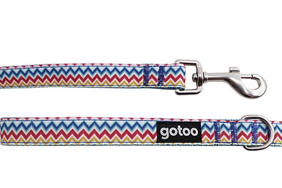 Gotoo - Laisse ZigZag pour chien - M