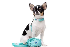 Gotoo - Sac à Sacs Etoiles Bleu pour Chien