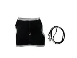 Gotoo - Set Essentiels pour Chat