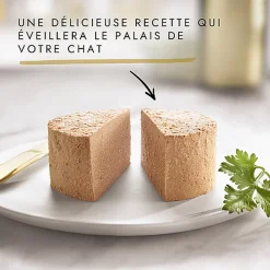 GOURMET - Boîtes GOLD Les Mousselines pour chat adulte - 24x85g