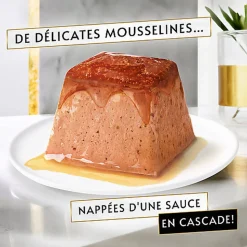 Gourmet - Repas REVELATIONS Mousseline Poulet et Bœuf nappée de sauce pour Chats - 48X57g