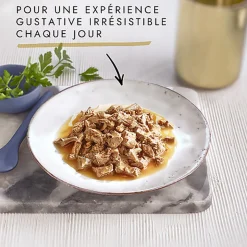 GOURMET - Sachets fraîcheurs PERLE Régal de Sauce pour chats - 12x85g