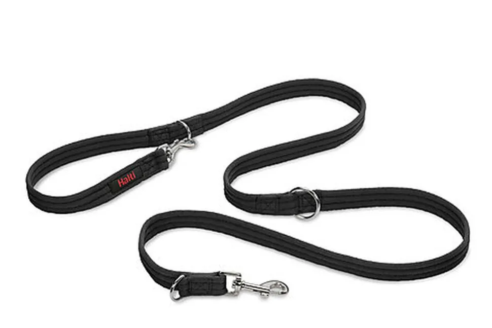 Halti - Laisse Educative Training Lead S pour Chiens