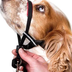 Halti - Licol Optifit Headcollar Gris pour Chiens
